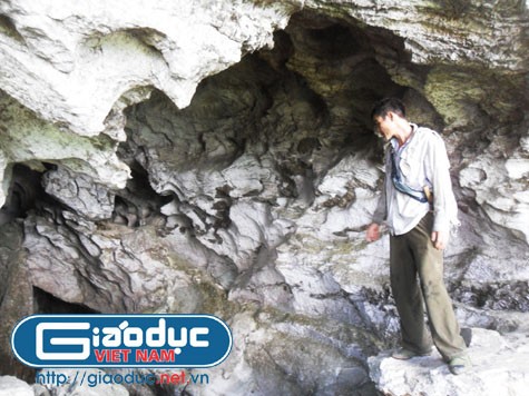 Từ cửa hang đi sâu vào bên trong khoảng chừng 10m, ở bên trong hang bỗng dưng tụt sâu xuống như chiếc giếng đào với độ sâu khoảng 20m.